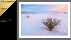 White Dunes Accepted In The Prestigious Loan Collection